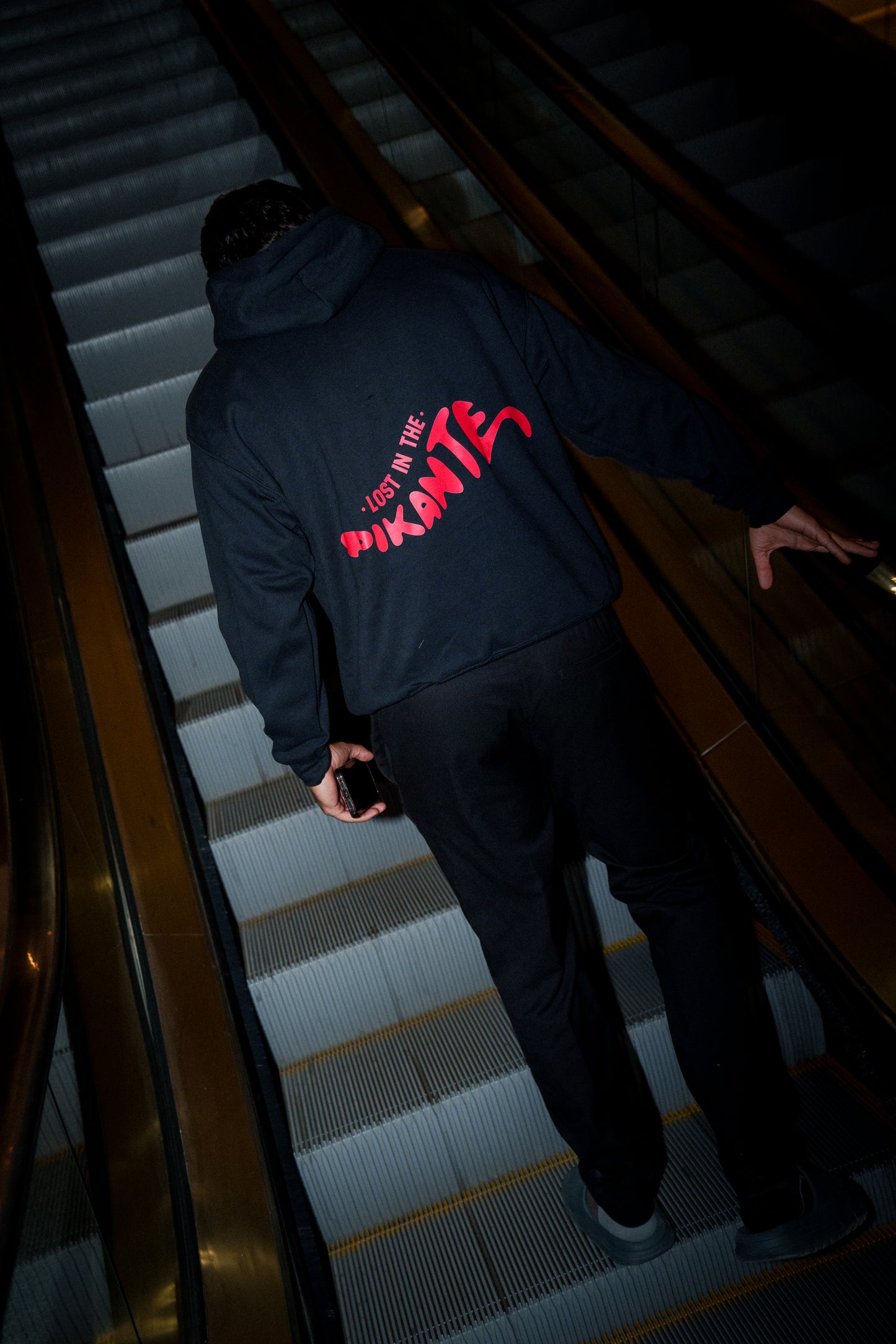 Lost in the Pikante Hoodie