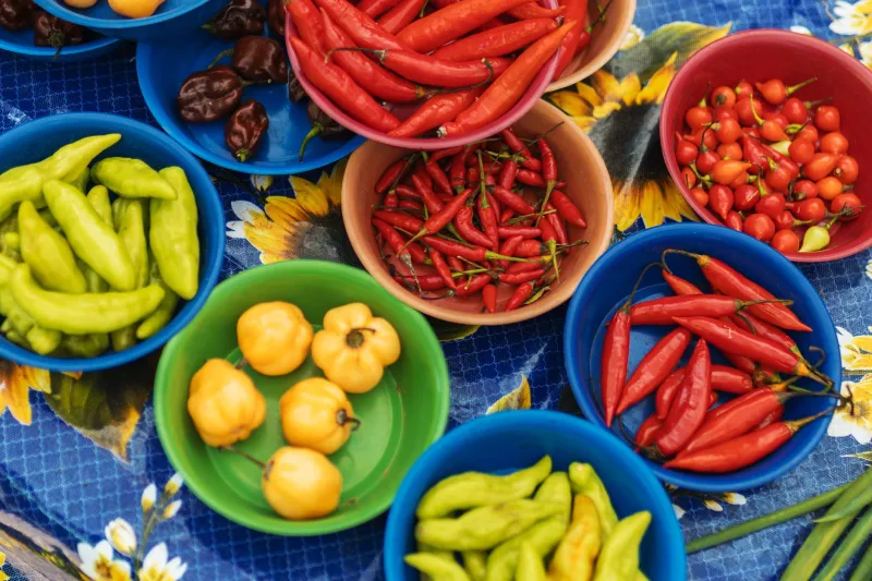 Glow Picante: O Segredo de Beleza que Chefs e Influenciadoras Brasileiras Encontraram na Pimenta