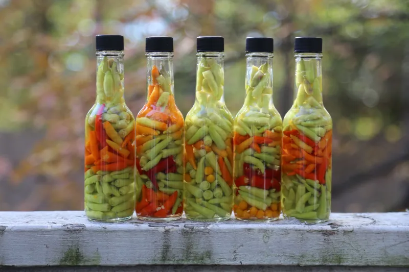Do Zero ao Seu Molho: 3 Receitas Base para Criar uma Assinatura Picante Única